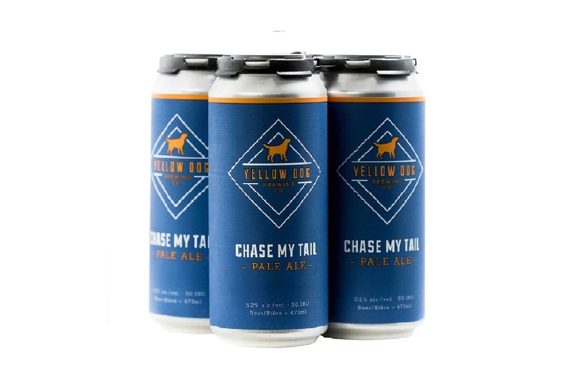 Yellow Dog Chase My Tail (4 Pack Cans) (4 x 473 ml)