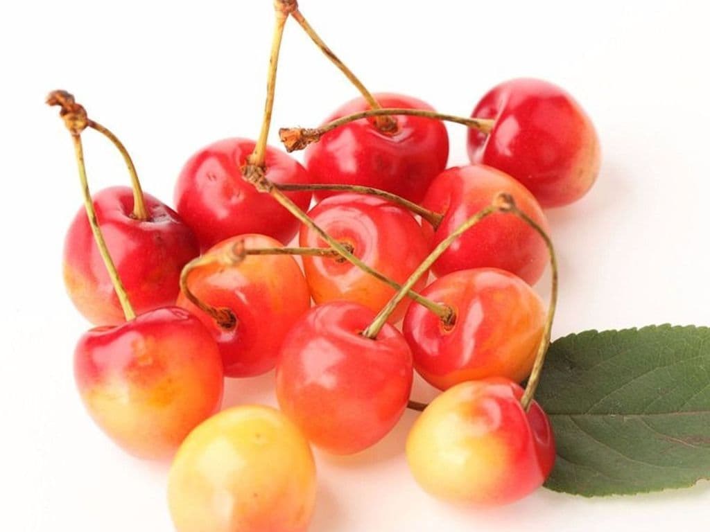 local Cherries Rainier (2lb)