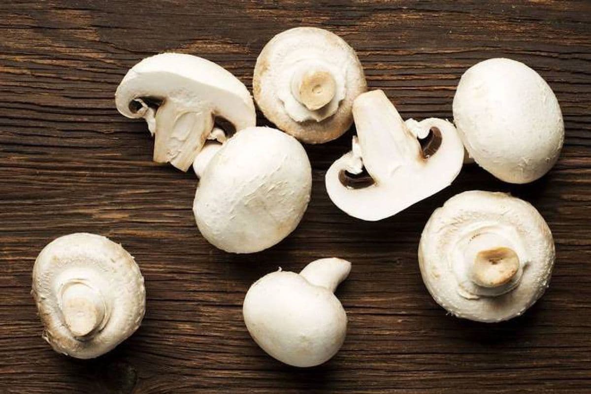Légumes Champignons Entiers / Whole Mushrooms Vegetables (284 ml)