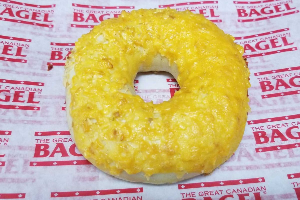 Cheddar Onion Bagel