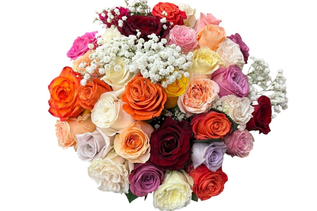 Assorted Roses - 2 Dozen (24 Stems)