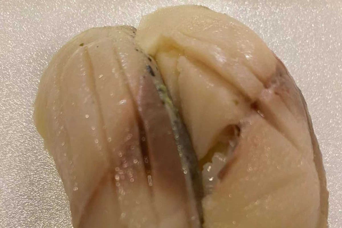 Mackerel (Saba) Nigiri