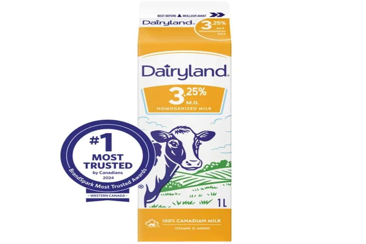 Dairyland Milk 3.25% 1L