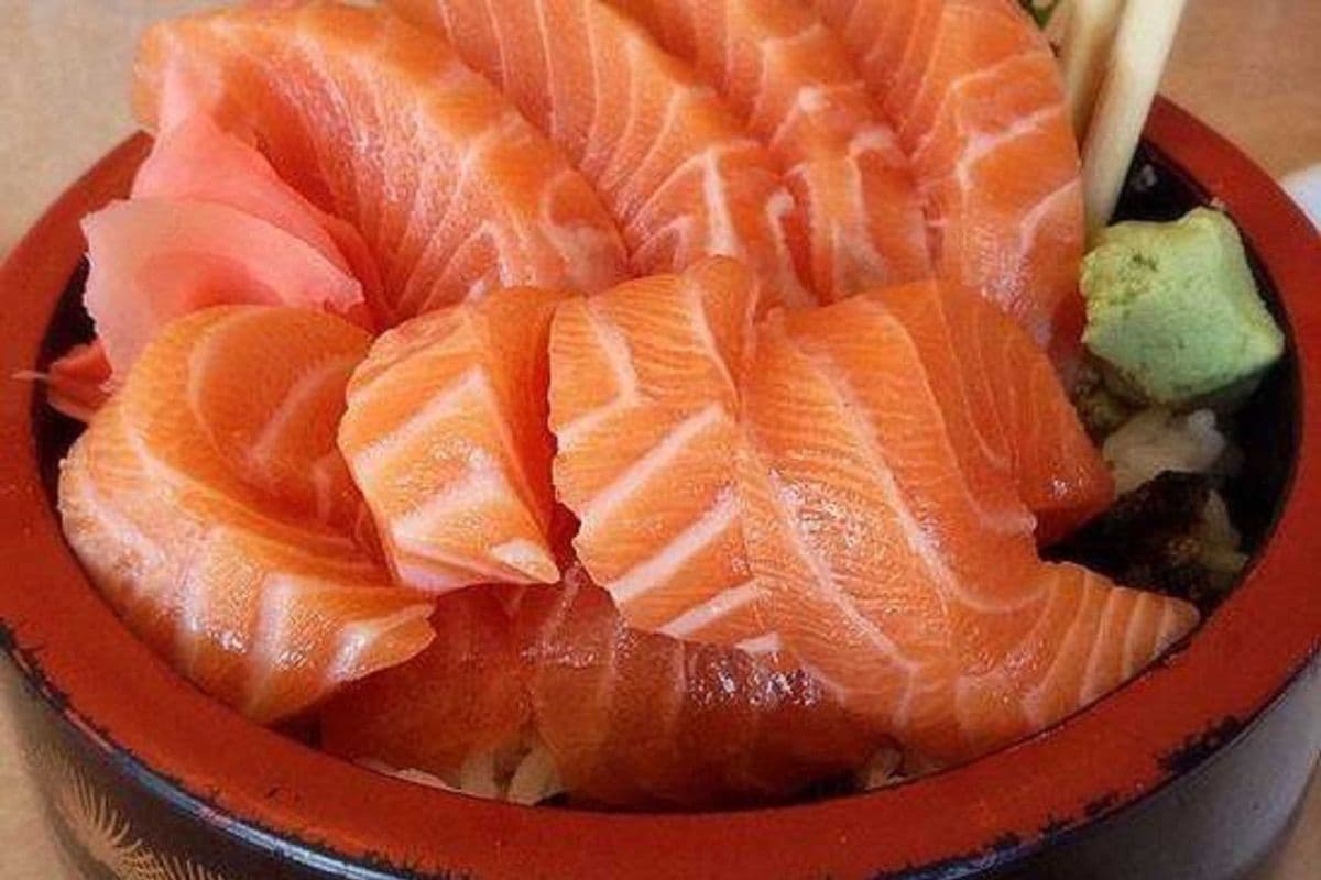 Salmon Lover Don