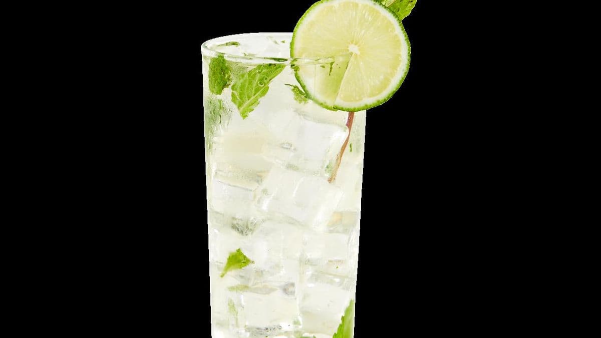 MOJITO