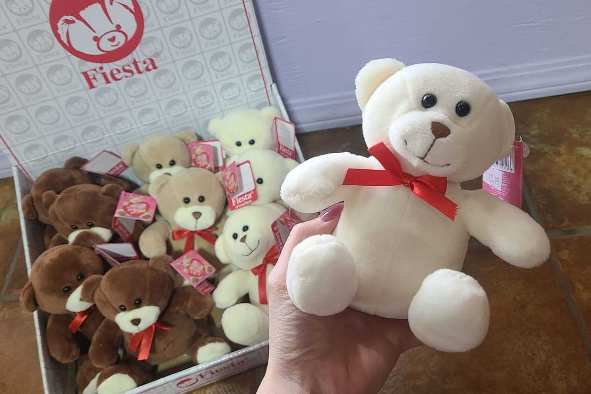 Teddy Plush