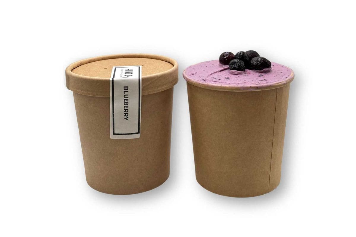 Blueberry - (28g) Protein
