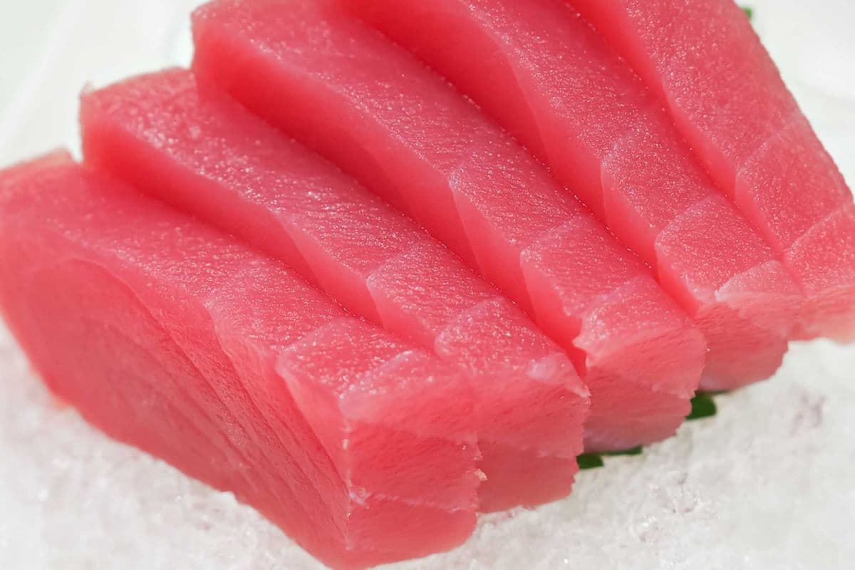 E02. Tuna