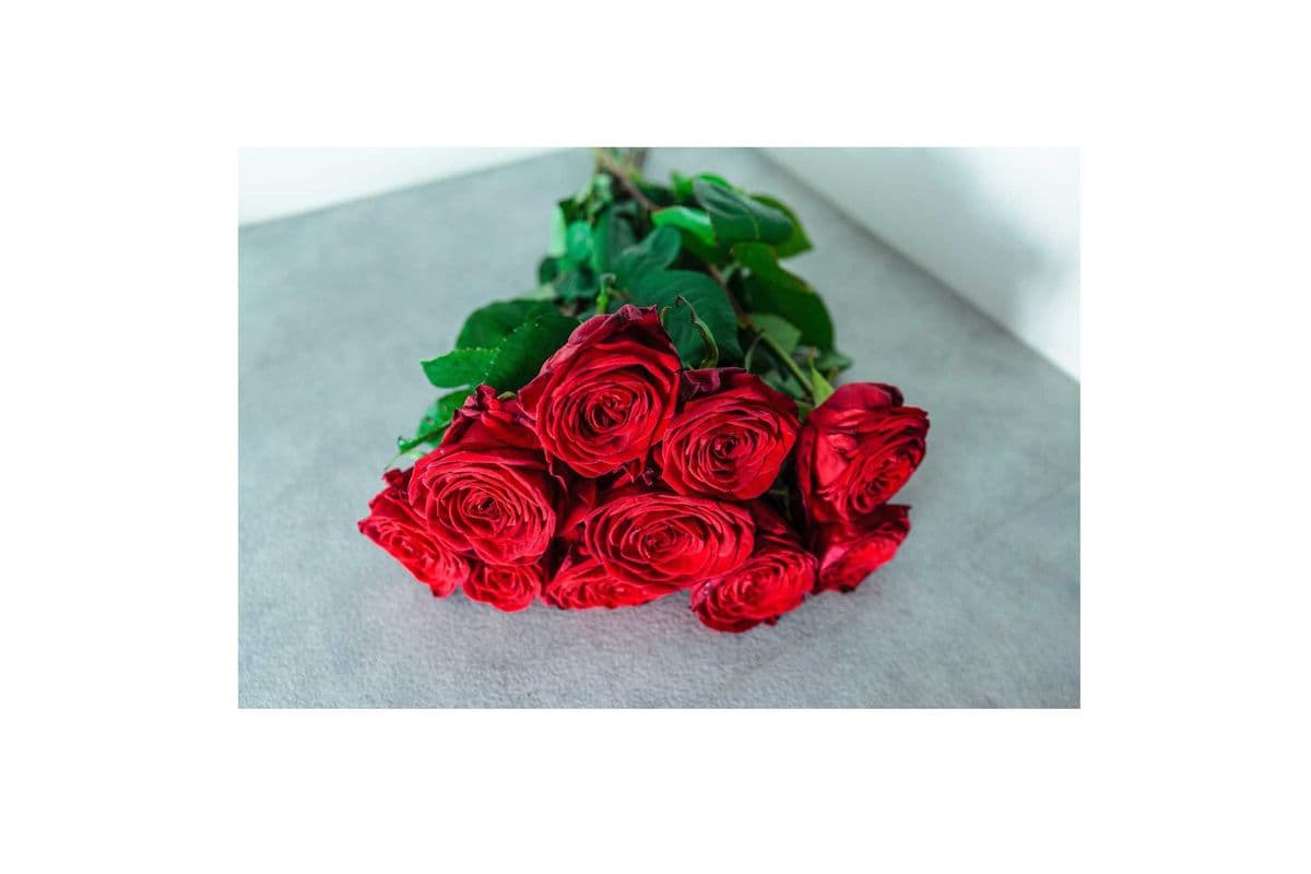 12 Hand-Tied Red Roses