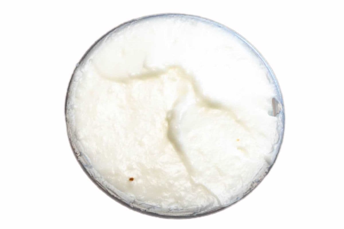 Garlic Sauce