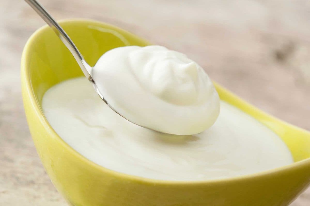 Yogurt (8Oz)