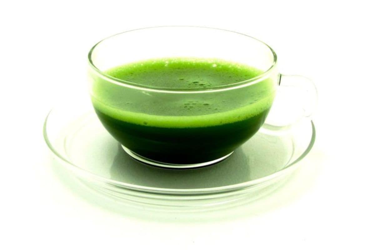 Matcha Tea (16oz)