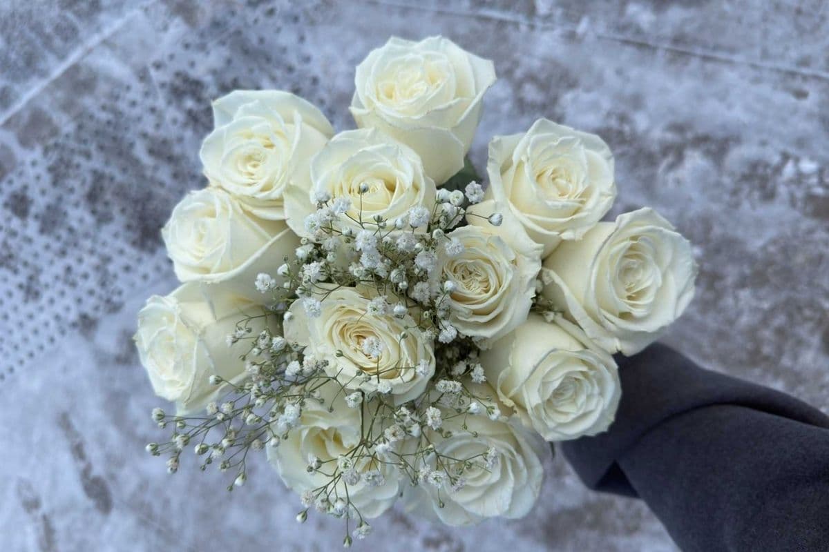 White Roses - 1 Dozen (12 Stems)