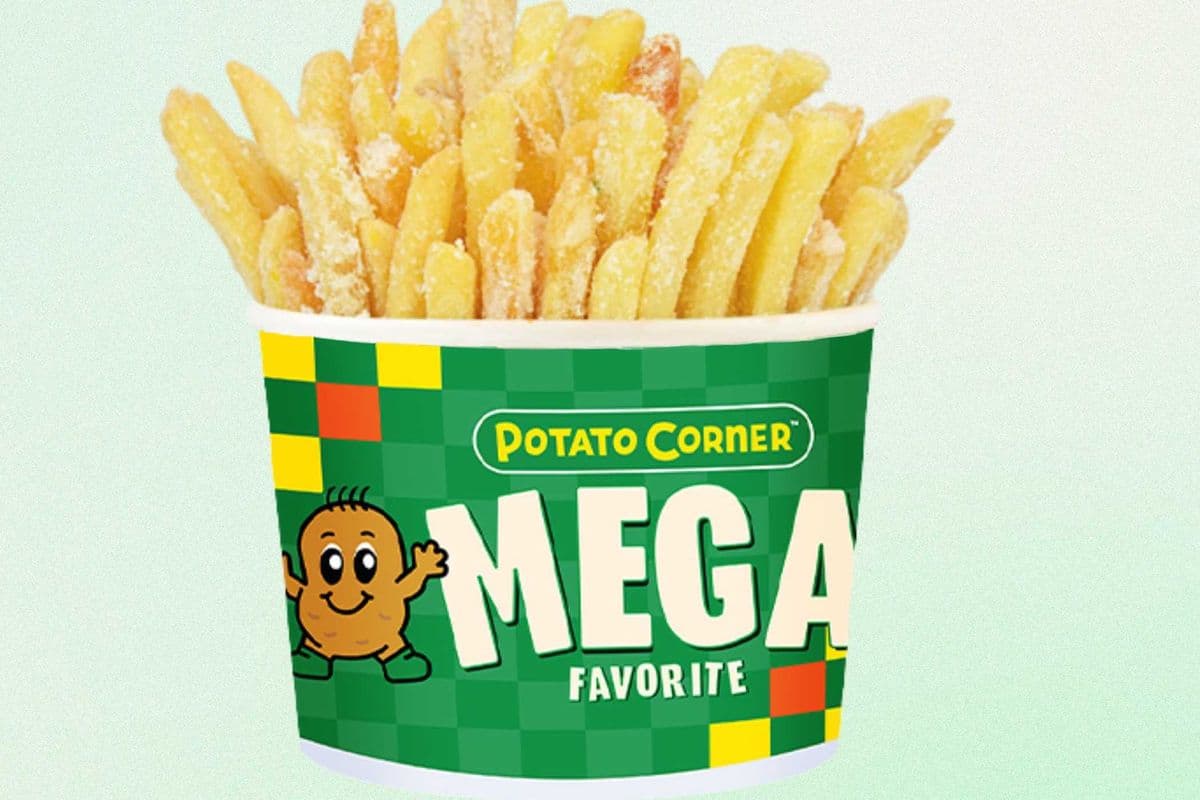 Mega Shoestring Fries