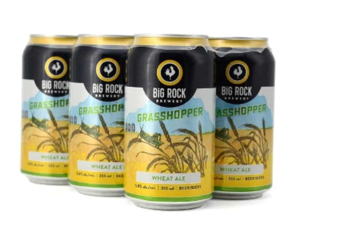 Big Rock Grasshopper 6 Pack Cans (355 ML) (1 x 355ml)
