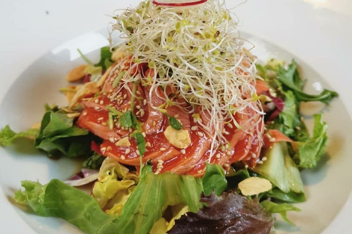 Salmon Tataki Salad