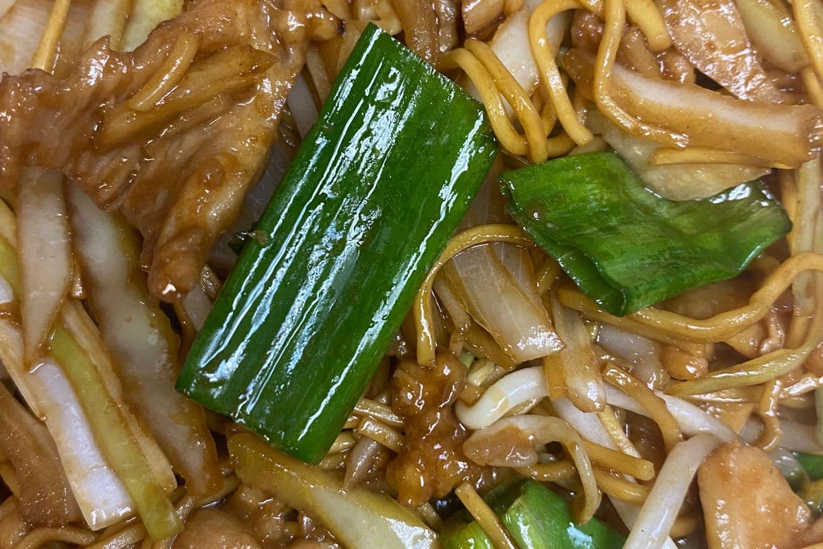 92. Chicken, Beef, or Roasted Pork Egg Noodles