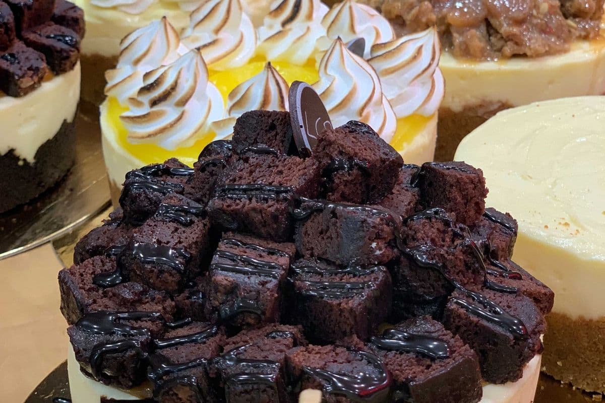Cheesecake 8 Pouce Chocolaté