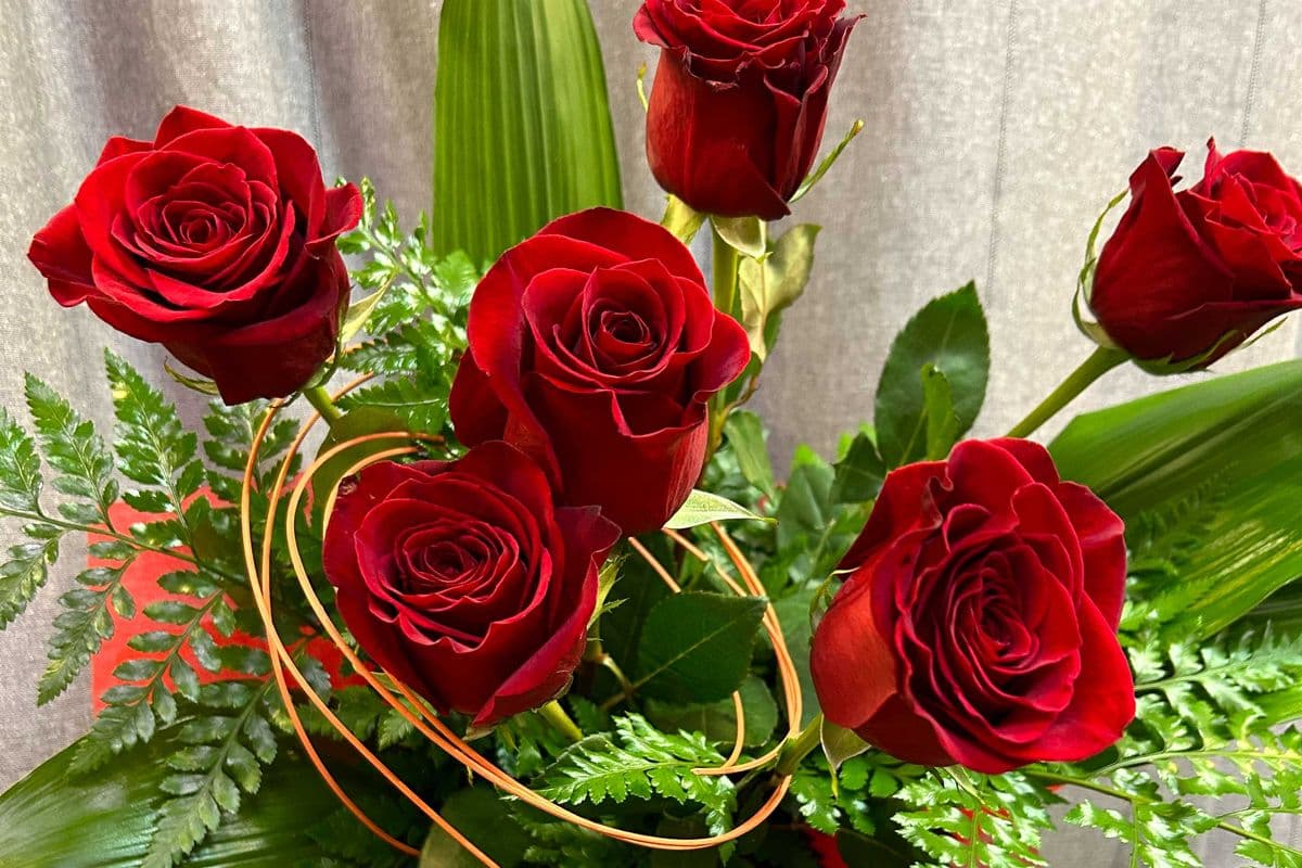 Love Is A Gift - Six Red Roses