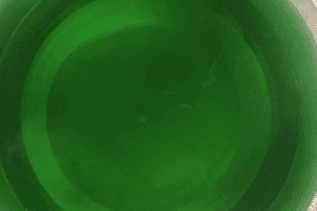 E3. Mint Jelly