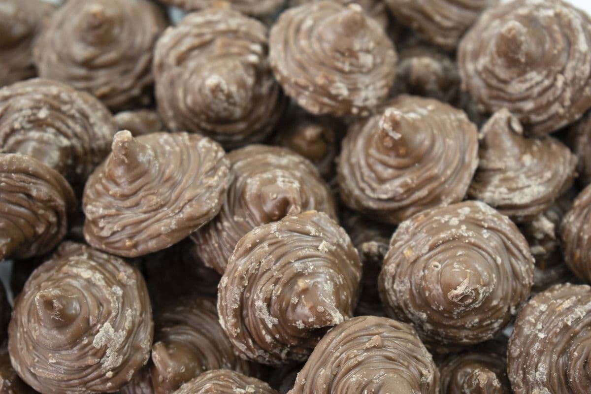 Macarons chocolat au lait (170 g)