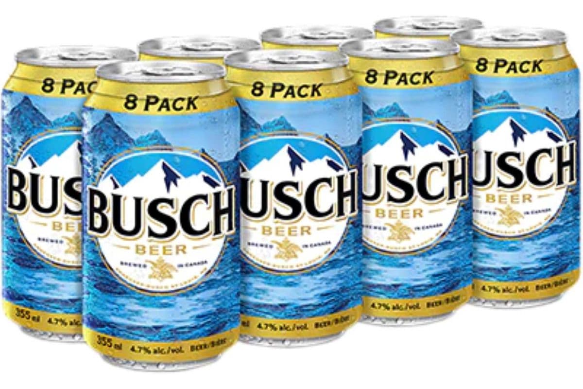 Busch (8-Pack) (8 x 355 ml)