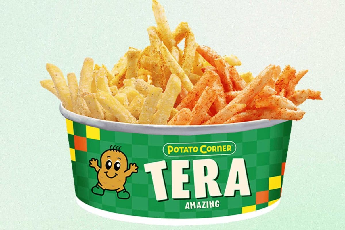 Tera Shoestring Fries