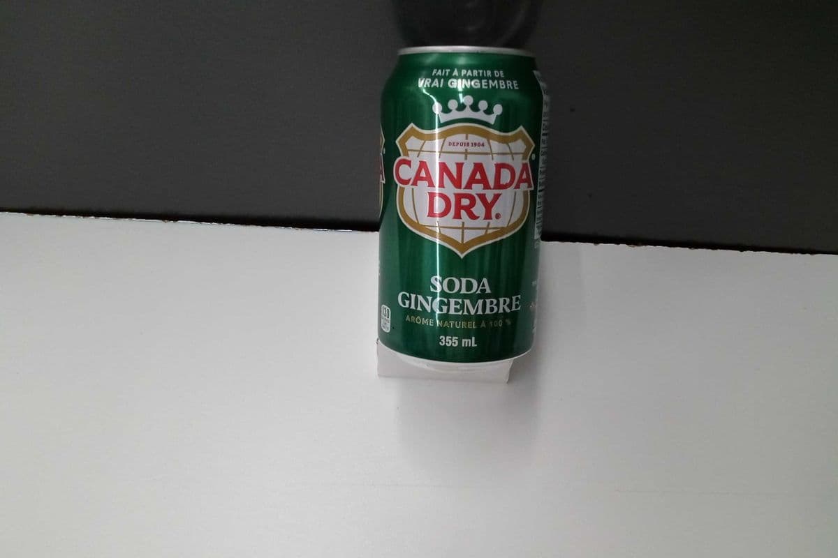 Canada Dry Ginger Ale - Regular (330 ml)