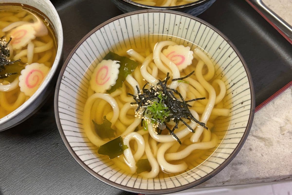 Plain Udon