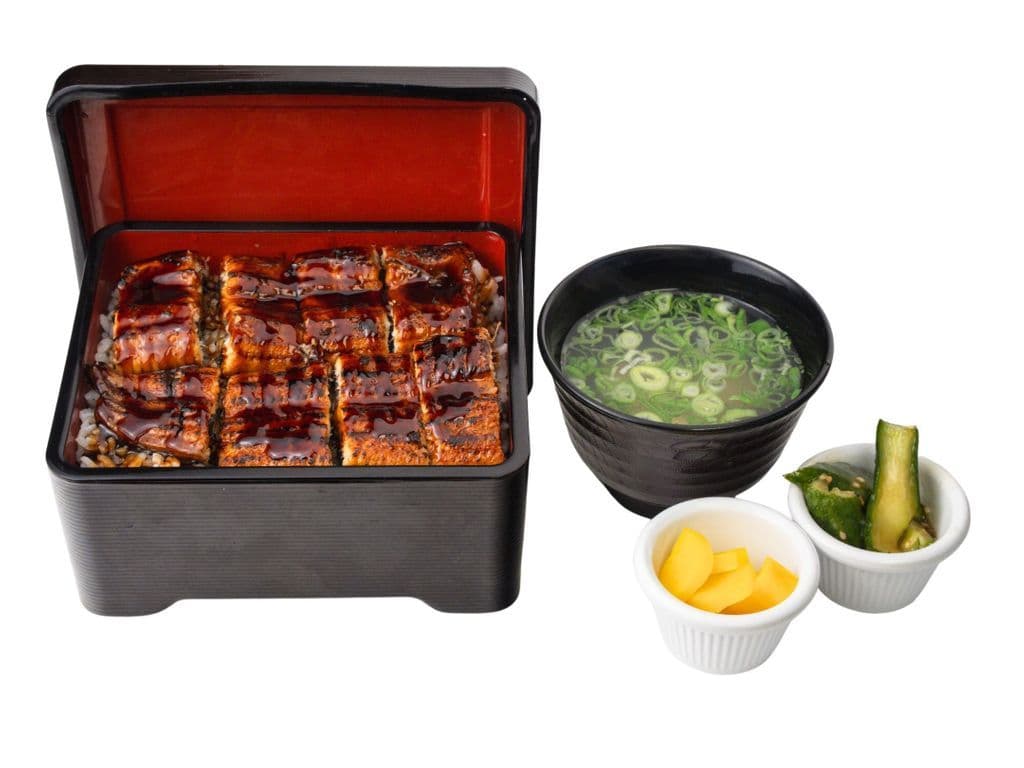 Unagi Donburi Set