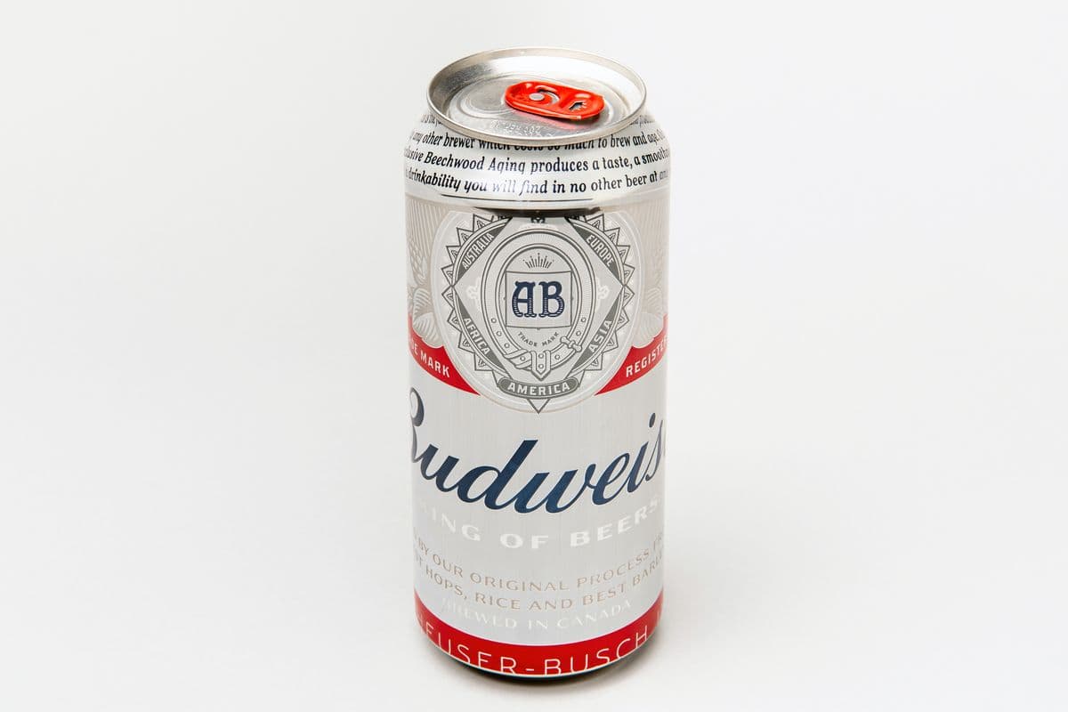 Budweiser (473 ml Can) (1 x 473ml)