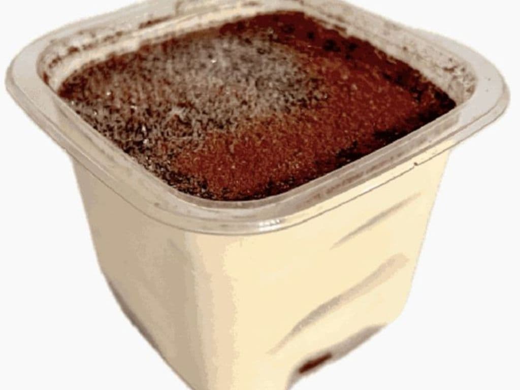 Original Tiramisu