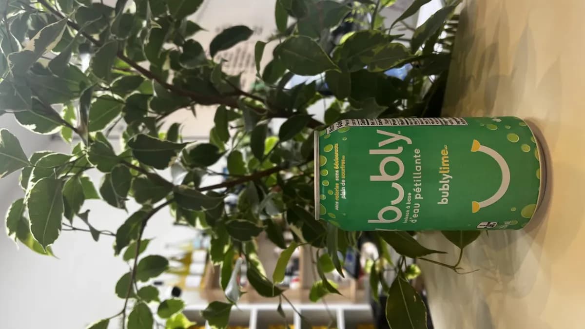 Bubly Water - Lime