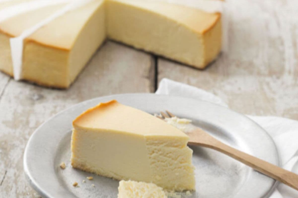 New York Cheesecake Slice VEGAN GF