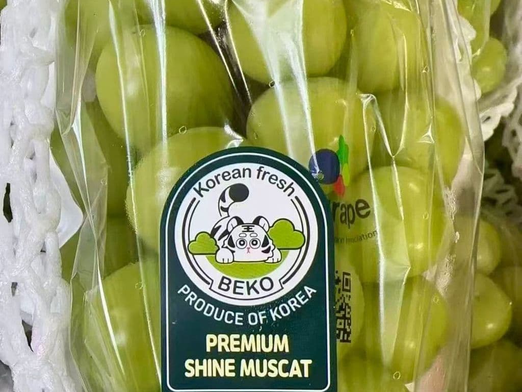 (TOP SELLER!) SHINE MUSCAT GRAPES ~ 1.4 LB BAG