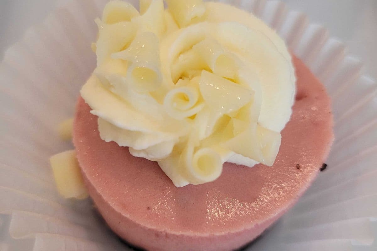 Mini raspberry white chocolate cheesecake