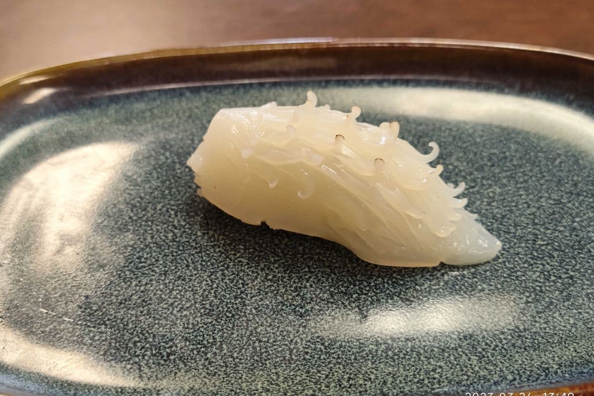 Ika 鱿鱼