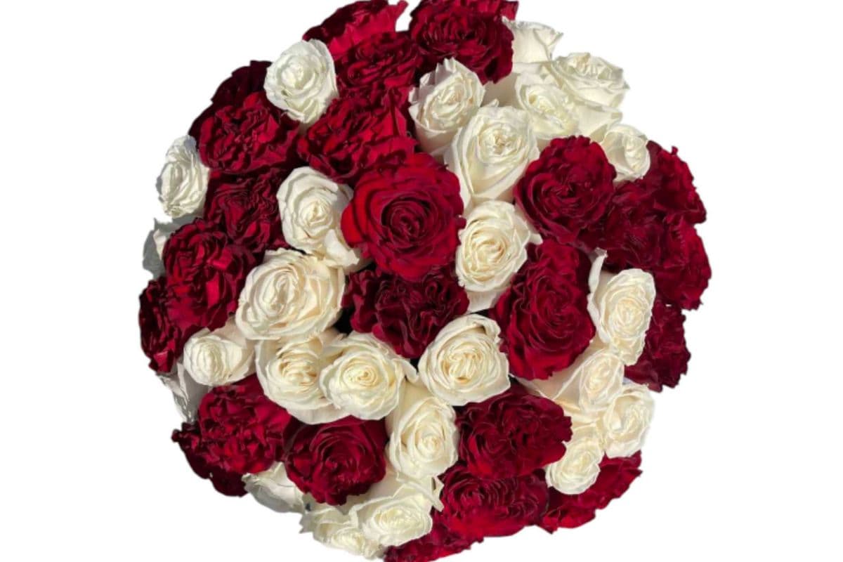 Mix Red and White Roses - 2 Dozen (24 Stems)