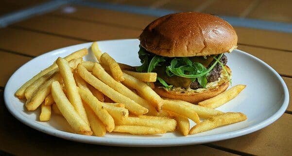 Bison Burger