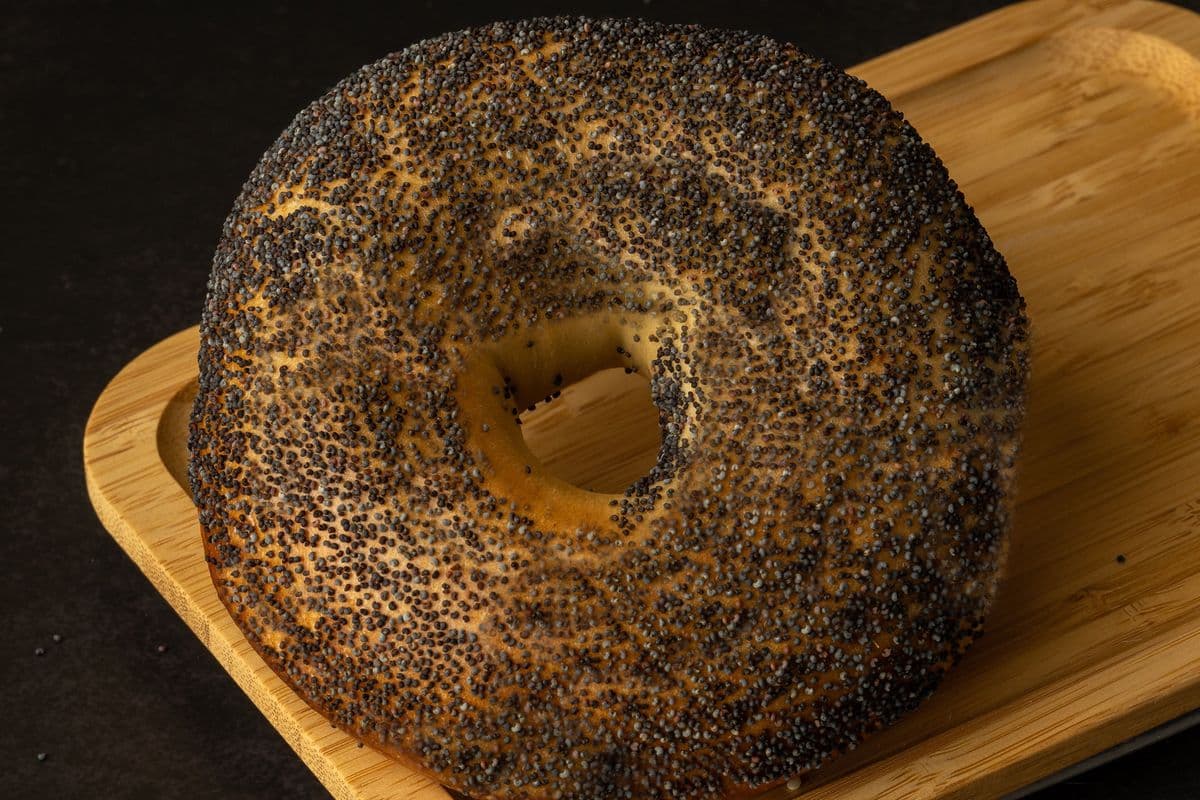 Poppy Bagel