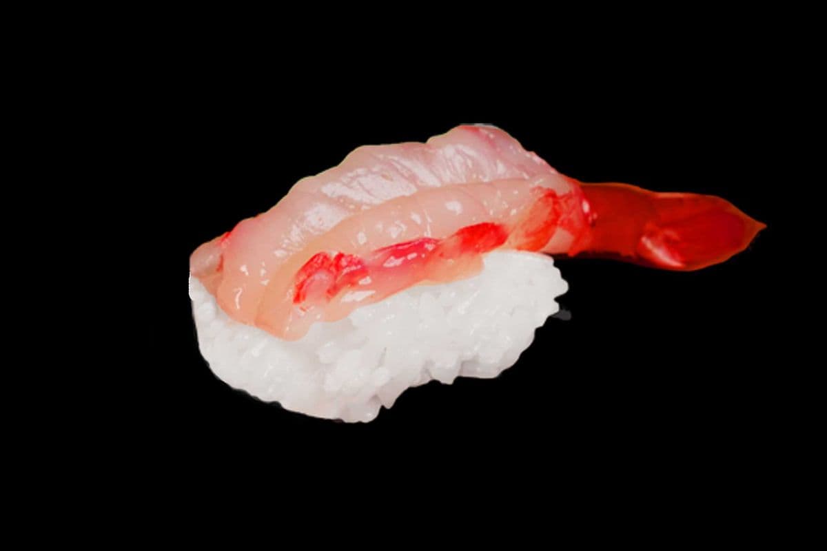 Amaebi Nigiri Sushi