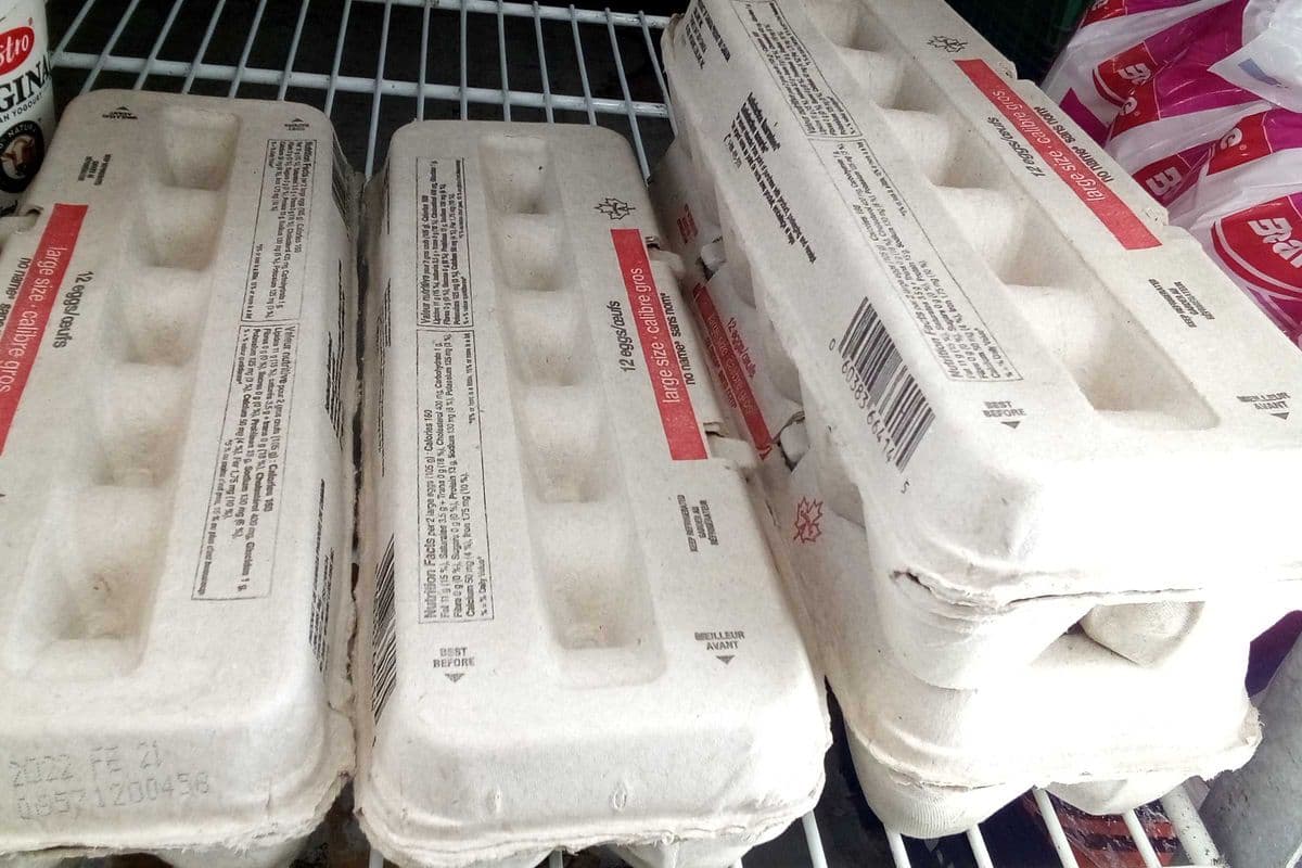 Eggs