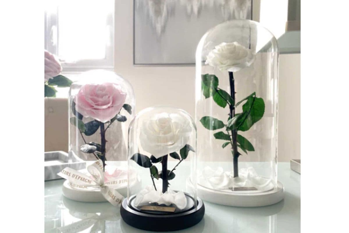 Enchanted Glass Dome (Medium) (12x20 cm)