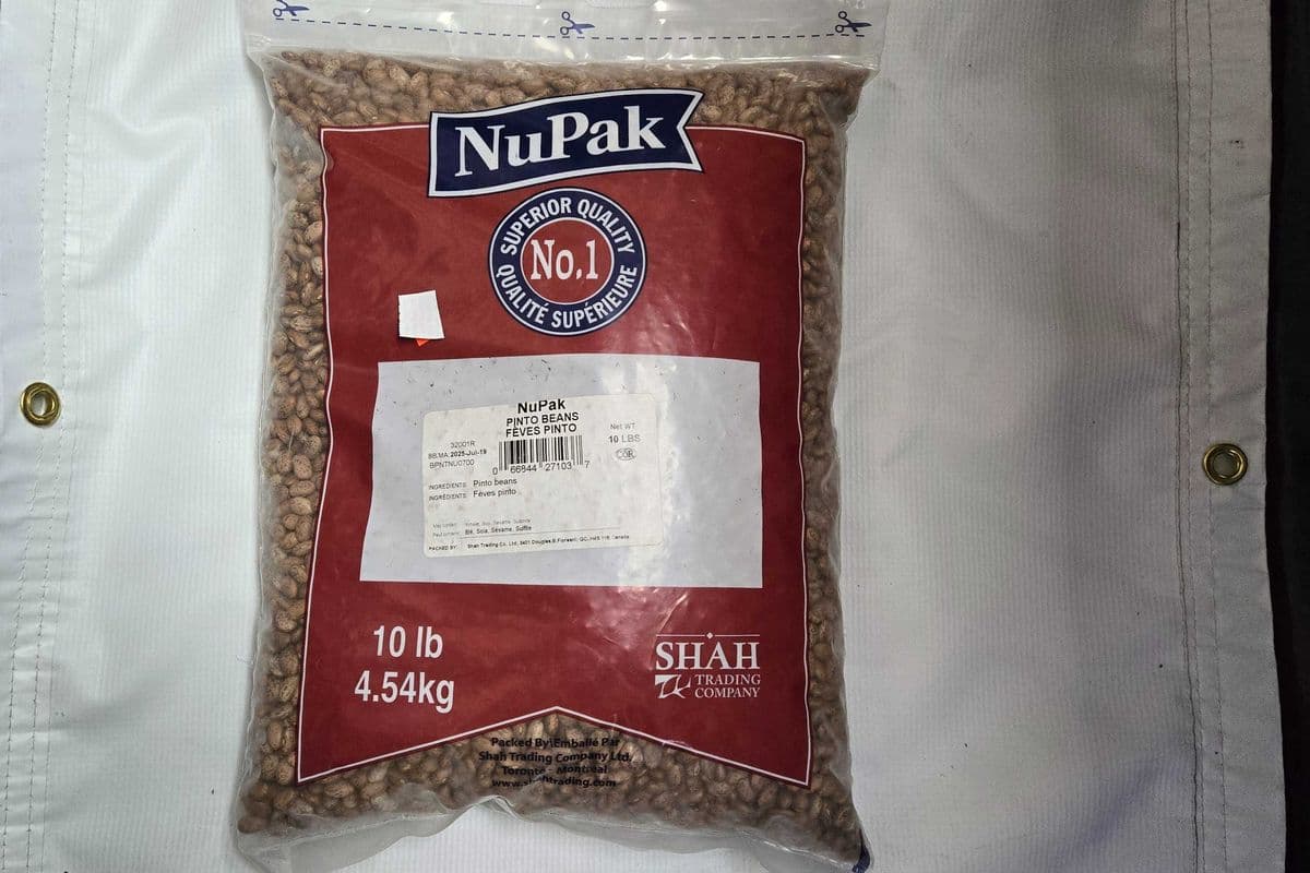 DUNYA / NUPAK FEVES PINTO (10 LBS)