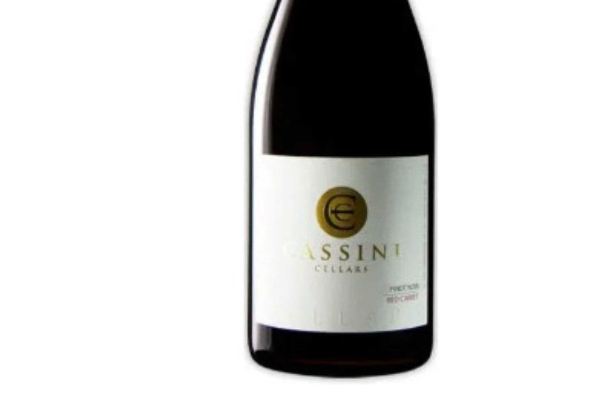 Cassini Pinot Noir (1 x 750ml)