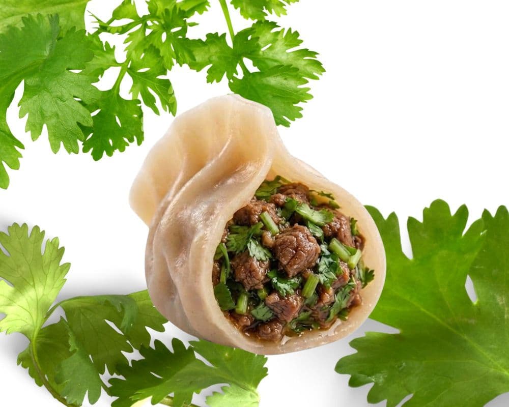 31. Pork & Coriander Dumpling / Porc et Coriandre Dumpling