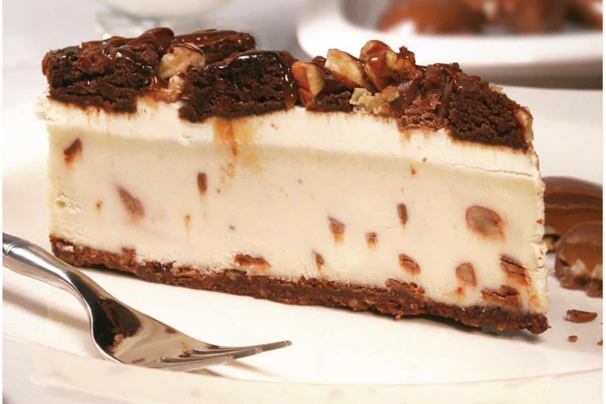Cheesecake Turtle
