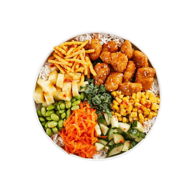 Bol Général Tao / General Tao Bowl