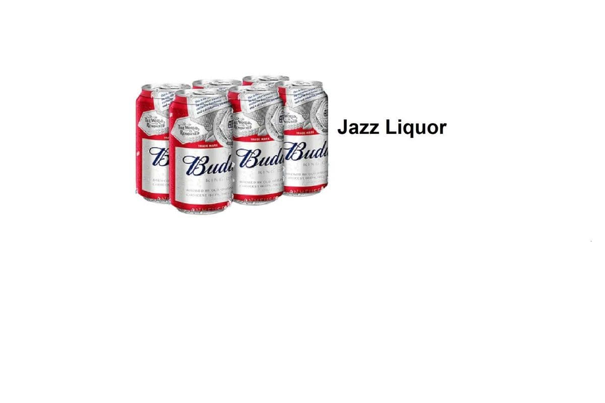 BUDWEISER 6 CANS (1 x 6X355ML)