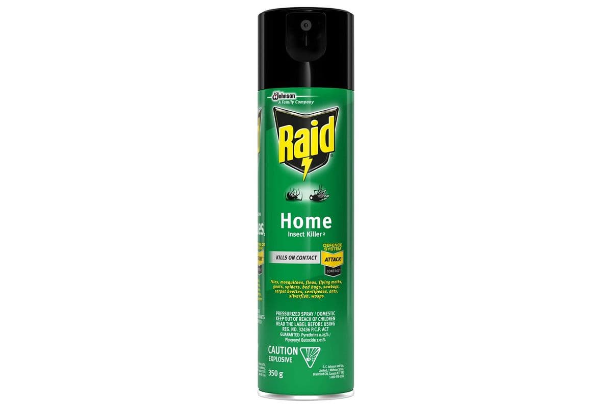 Raid Home Insect Killer Spray (350 g)
